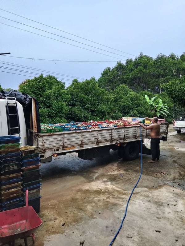 สิงห์ไฮเทคHO7D195แรง กะบะเปิดข้างได้ยาว6เมตร เครื่องเกียร์ดี ยางดีคัทซีสวย พร้อมใช้งาน ราคาเบาๆ