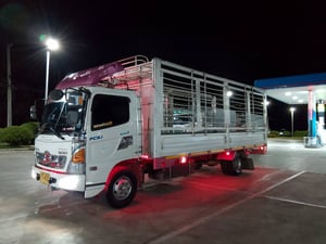 Fc9j210ปี62 มือเดียวเดิมๆ เครื่องเกียร์ดี กะบะเปิดได้รอบ ยาว6.60เมตร กว้างใน2.35เมตร พร้อมใช้งาน