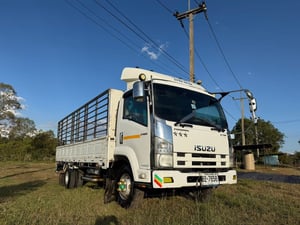 6ล้อคอกIsuzu  FRR 190 ปี59 