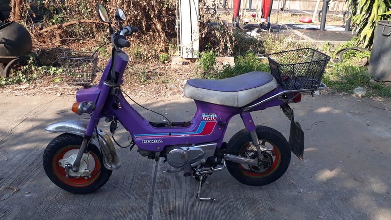 ขาย ชาลี จอดนาน ขาย ชาลี จอดนาน