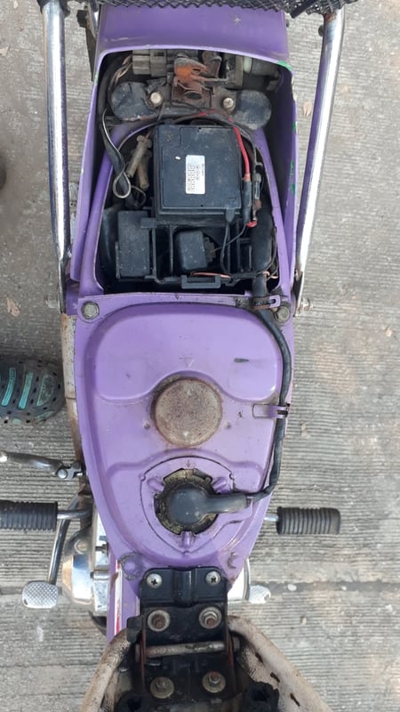 ขาย ชาลี จอดนาน ขาย ชาลี จอดนาน