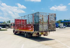 NEW FC9J 210  รถบรรทุกวัว กะบะปีเนียม