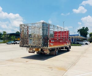 NEW FC9J 210  รถบรรทุกวัว กะบะปีเนียม