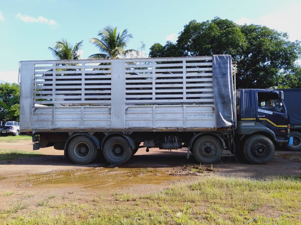 พ่วงแม่ลูกพื้นเรียบ 240 แรง ปี 2533 พ่วงแม่ลูกพื้นเรียบ 240 แรง ปี 2533