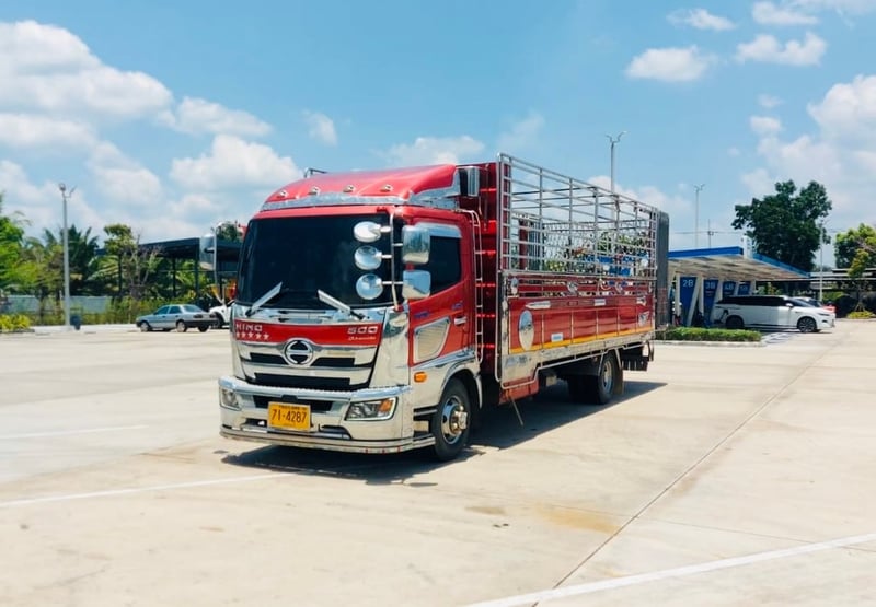 NEW FC9J 210  รถบรรทุกวัว กะบะปีเนียม