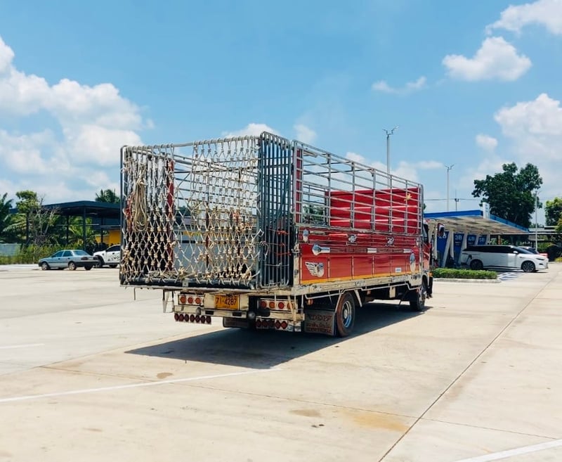 NEW FC9J 210  รถบรรทุกวัว กะบะปีเนียม