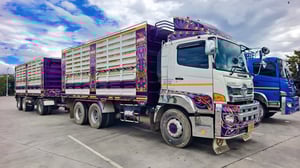 เข้าใหม่❗️ไมล์ 7 หมื่น HINO FM 2P 380 พ่วงแม่ลูก(ไม่ด้ั้มพ์)คอกเกษตร เข้าใหม่❗️ไมล์ 7 หมื่น HINO FM 2P 380 พ่วงแม่ลูก(ไม่ด้ั้มพ์)คอกเกษตร