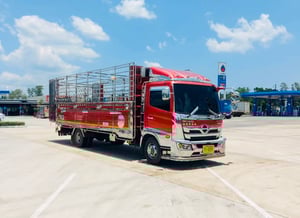 NEW FC9J 210  รถบรรทุกวัว กะบะปีเนียม