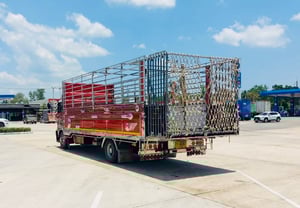 NEW FC9J 210  รถบรรทุกวัว กะบะปีเนียม