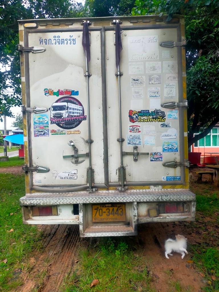 ขายรถบรรทุก ISUZU NMR130 ตู้เย็น ราคา 400,000 สภาพพร้อมใช้งาน จดทะเบียนปี 2560