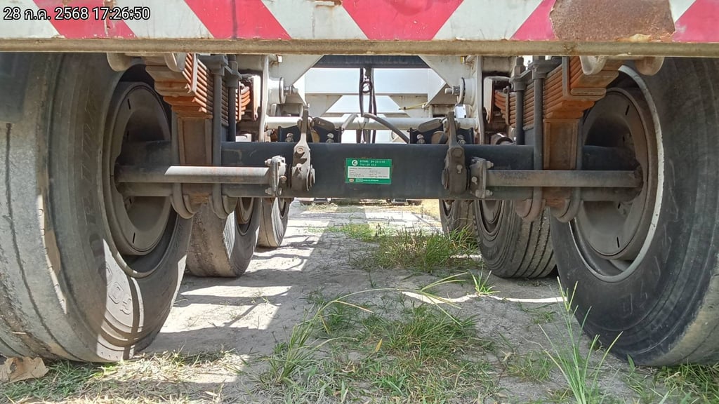 หางก้างปลา ปี22 (74-5075) หางก้างปลา ปี22 (74-5075)