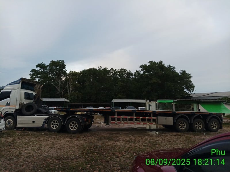 หางก้างปลา ปี23 (70-4295)