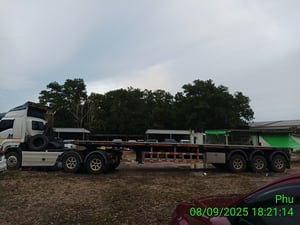 หางก้างปลา ปี23 (70-4295)