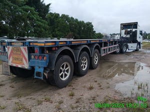 หางก้างปลา ปี23 (70-4295)