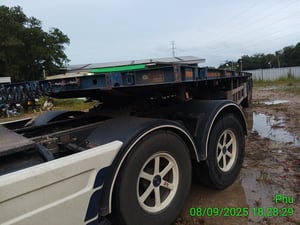 หางก้างปลา ปี23 (70-4295)