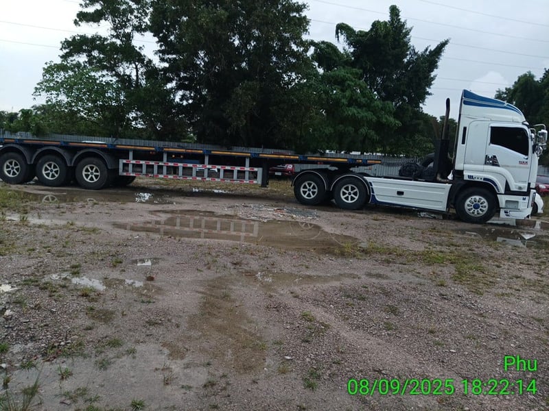 หางก้างปลา ปี23 (70-4295)