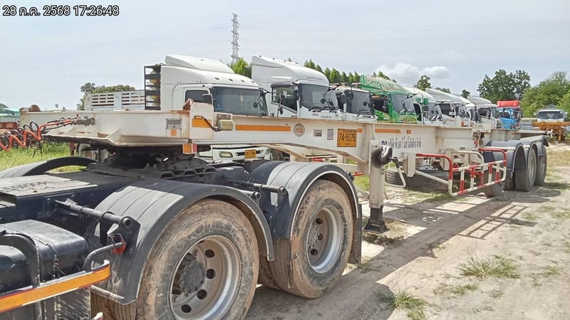 หางก้างปลา ปี22  (74-5075)