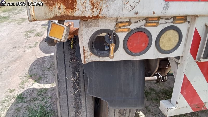 หางก้างปลา ปี22  (74-5075)