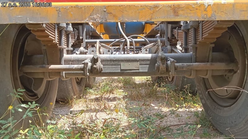 หางก้างปลา ปี66 (71-5284)