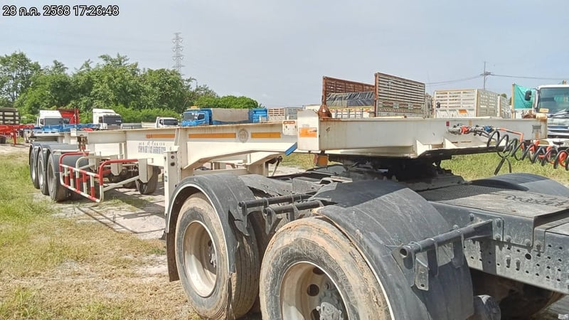 หางก้างปลา ปี22  (74-5075)