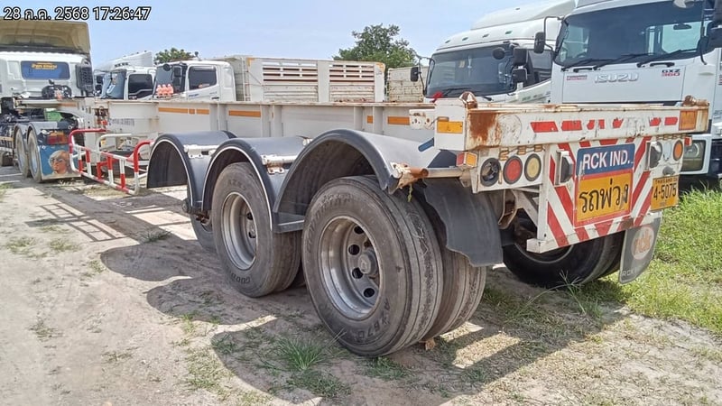 หางก้างปลา ปี22  (74-5075)