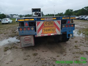 หางก้างปลา ปี23 (70-4295)