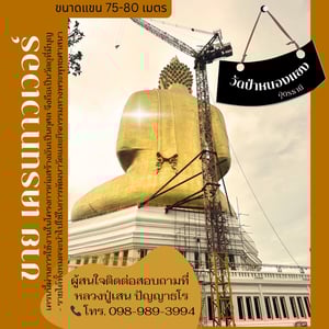 ขายทาวเวอร์เครนสภาพดี มือสอง