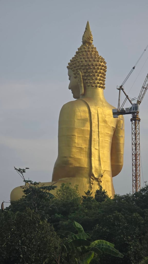 ขายทาวเวอร์เครนสภาพดี มือสอง
