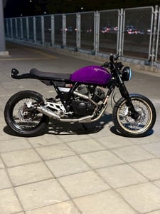 Stallions Buccaneer 250