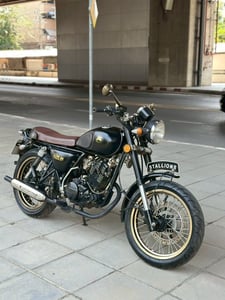 Stallions Ct 150 2016