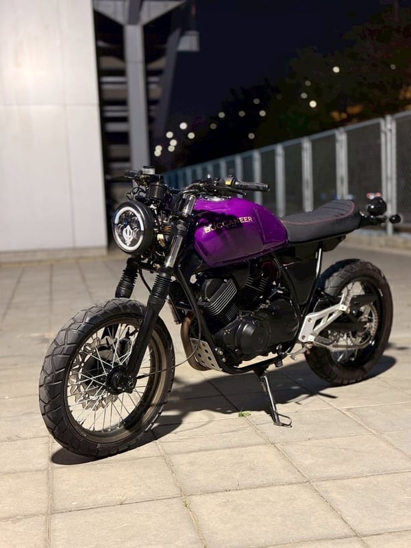 Stallions Buccaneer 250