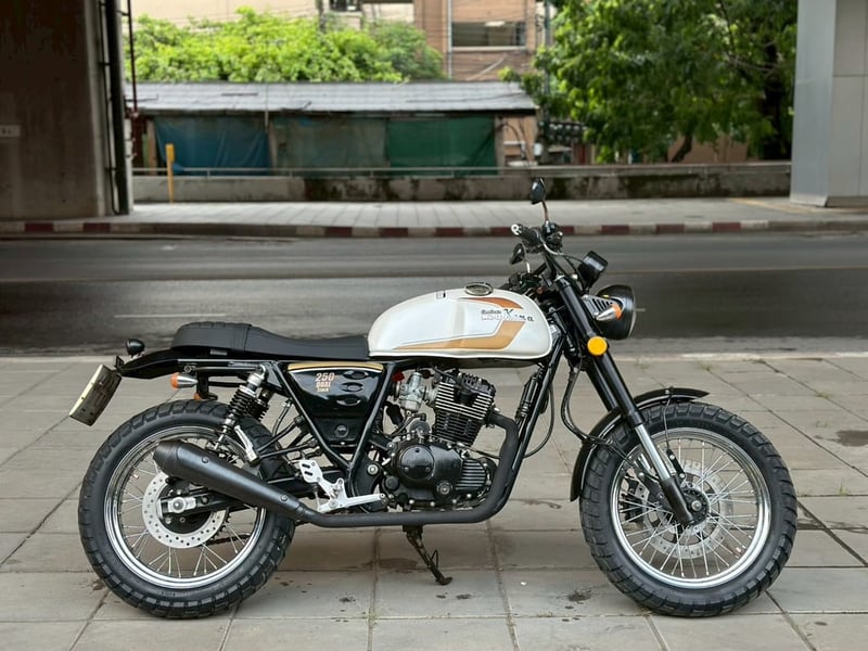  Stallions Makina 250 ปี 2020
