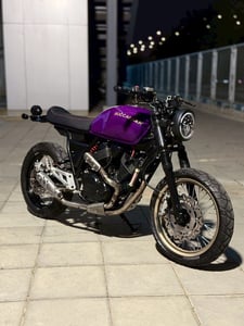 Stallions Buccaneer 250