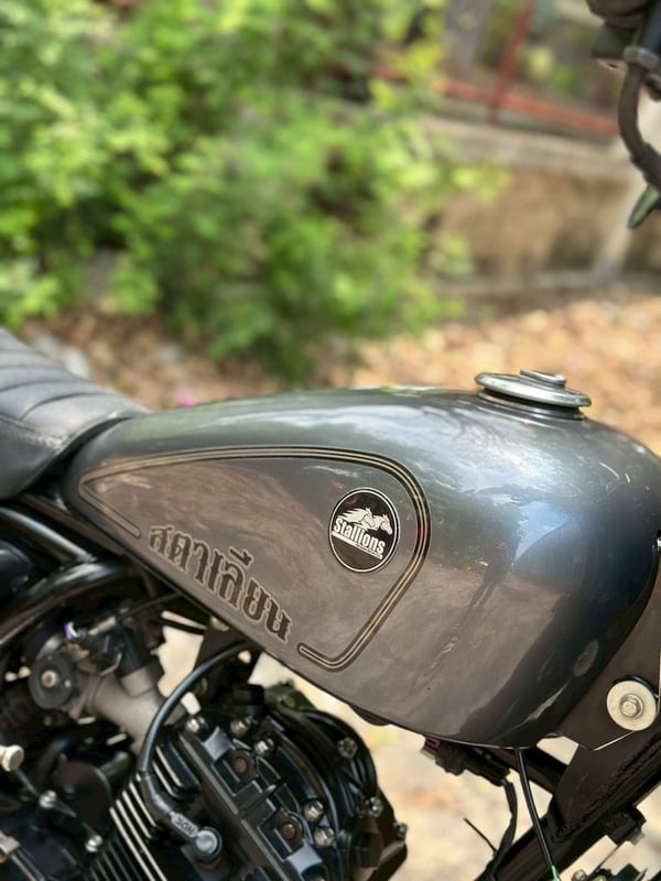 Stallions Bobber 170 i 2021 