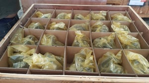 เฟืองออโต้ ดิฟล็อค (Auto Difflock) Ford และ Madza 2.2 และ 3.2 ของแท้ ใหม่ เฟืองออโต้ ดิฟล็อค (Auto Difflock) Ford และ Madza 2.2 และ 3.2 ของแท้ ใหม่