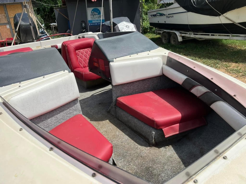 ขาย เรือท่องเที่ยว ตกปลา ลากบอร์ด￼￼ searay 160 เครื่อง suzuki  60 hp four stroke 