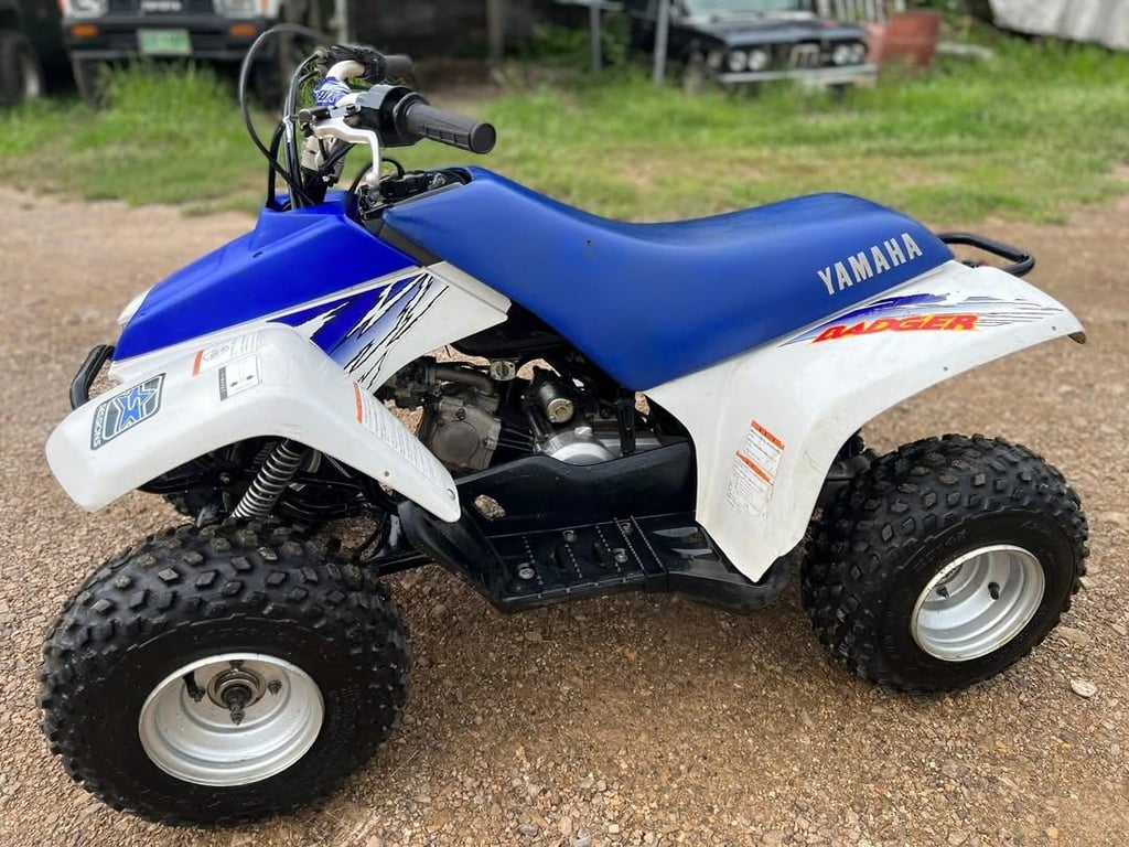 ขาย atv yamaha badger Automatic สภาพ สวยสุดๆ เท่าที่เห็นมา 