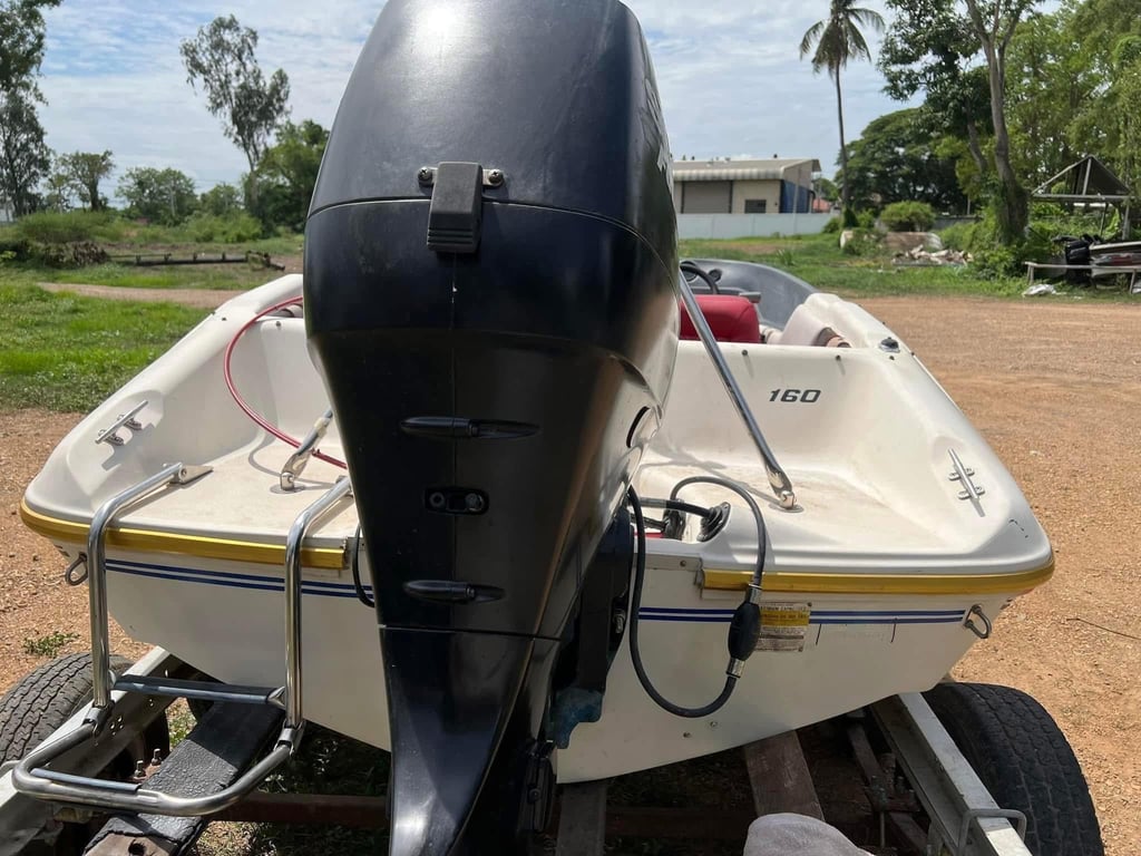 ขาย เรือท่องเที่ยว ตกปลา ลากบอร์ด￼￼ searay 160 เครื่อง suzuki  60 hp four stroke 