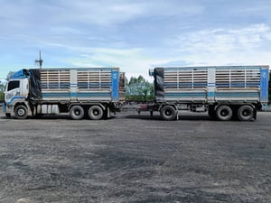 ISUZU FXZ 360แรงม้า รถบรรทุก 10ล้อ (พ่วงแม่ลูกไม่ดัมพ์)  ปี2022