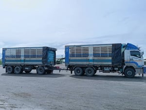 ISUZU FXZ 360แรงม้า รถบรรทุก 10ล้อ (พ่วงแม่ลูกไม่ดัมพ์)  ปี2022