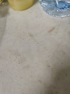 toyota wish วางเครื่อง 2zz