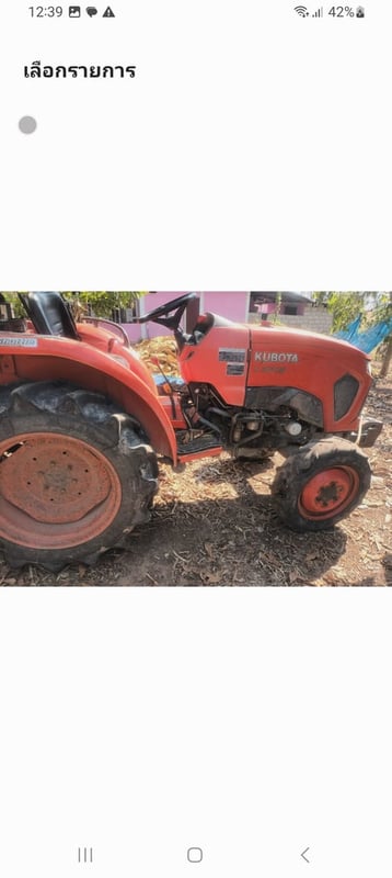 ขายเลิกทำสวนมะม่วงที่อำเภอเนินมะปรางจังหวัดพิษ๋โลก