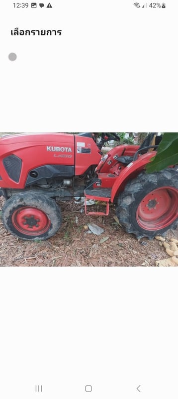 ขายเลิกทำสวนมะม่วงที่อำเภอเนินมะปรางจังหวัดพิษ๋โลก