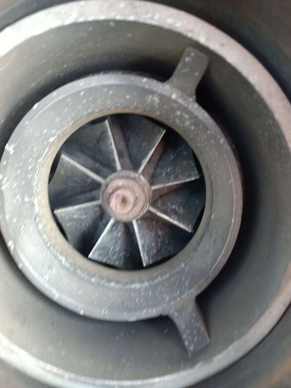 เทอร์โบจีน