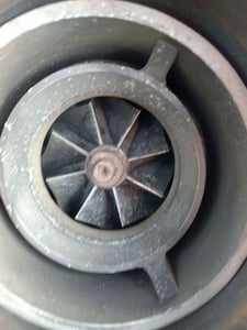 เทอร์โบจีน