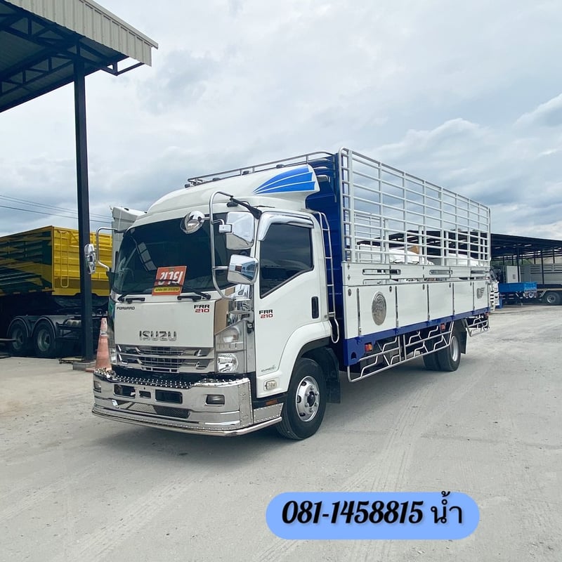🚚 หกล้อคอก ISUZU FRR 210 แรง ปี 2565 (9202)