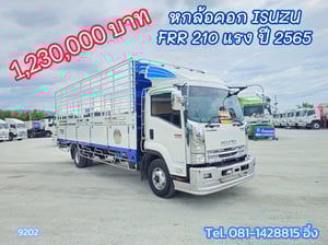 หกล้อคอก ISUZU FRR 210 แรง ปี 2565 (9202)