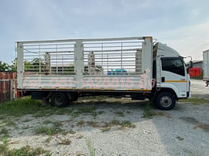หกล้อคอก ISUZU FRR 210 แรง ปี2566 (9091)