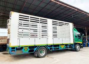 6 ล้อ คอกยาว ISUZU FTR33 195 แรง ปี 39