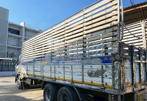 10 ล้อ คอกเกษตร HINO FL1J 212 แรง ปี 48 7.6 x 2.5 x 2.4 m